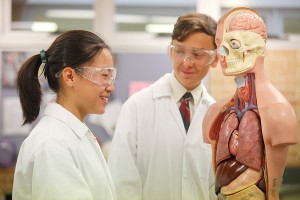 the hills grammar school 1