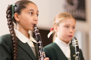 the hills grammar school 5