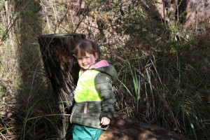 yarra valley ELC bush program