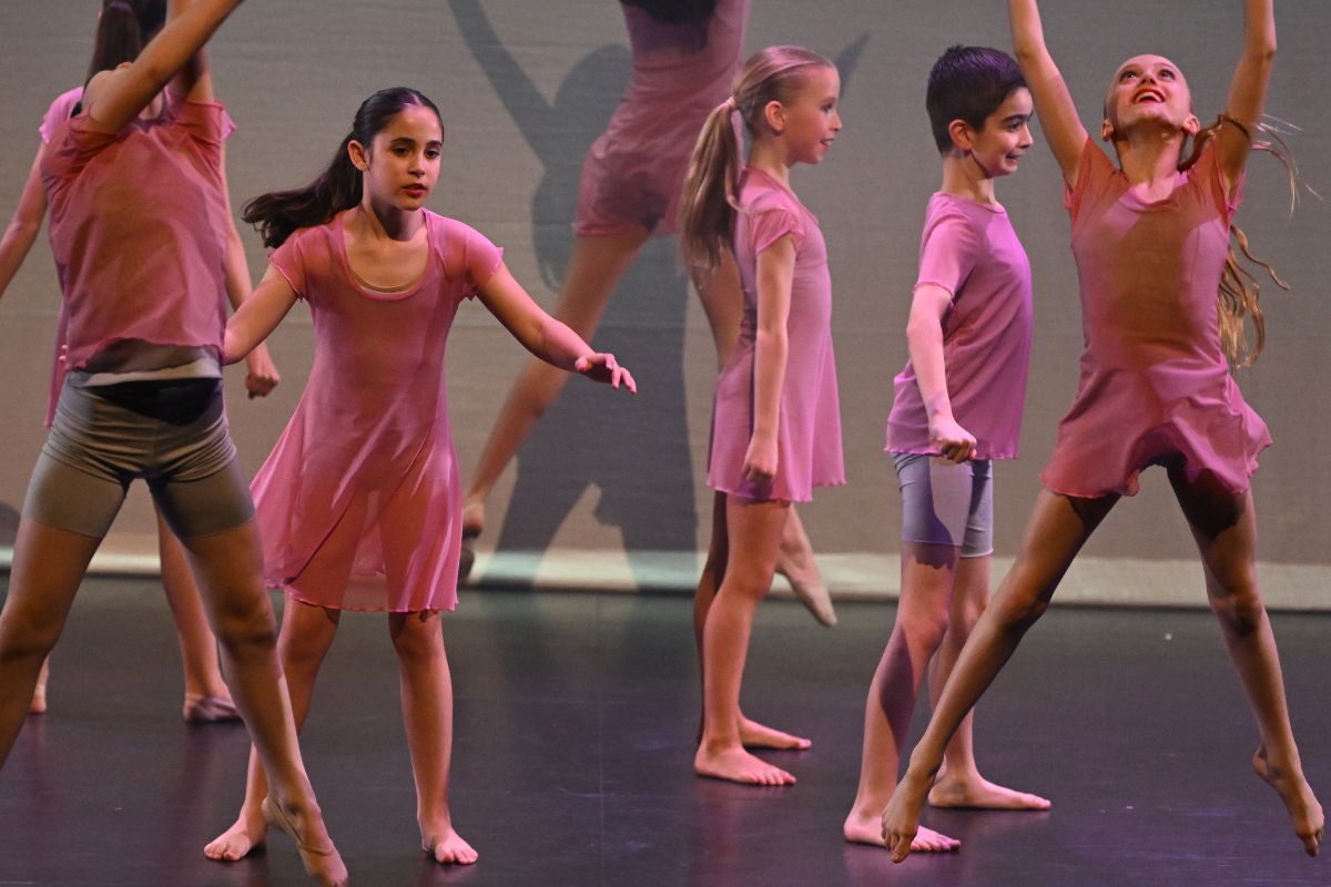 The Mcdonald College