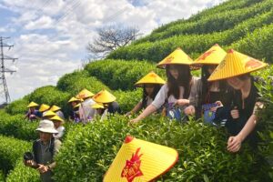 Suzanne Cory High School