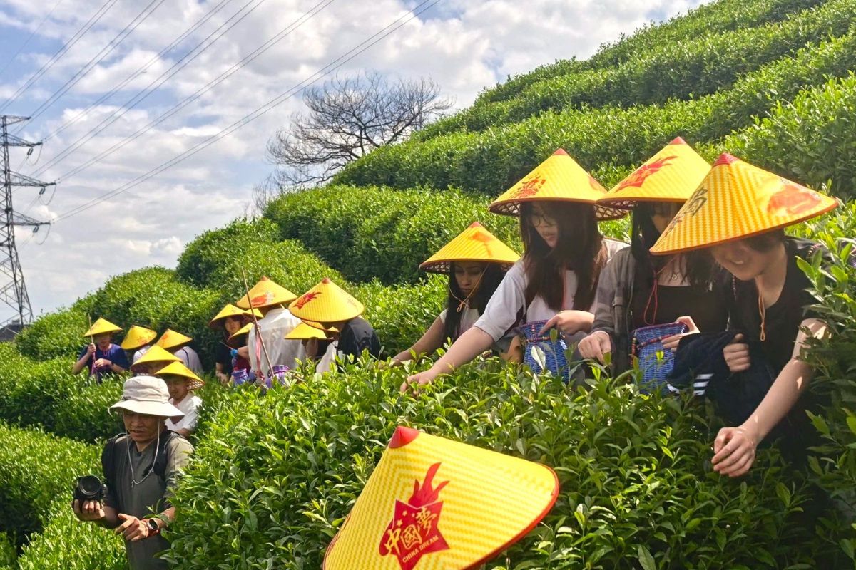 Suzanne Cory High School